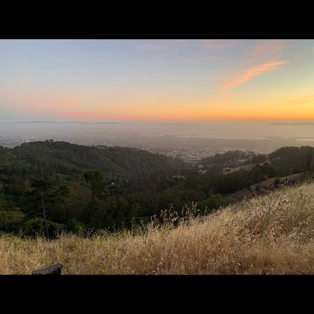 Meet your Posher, Lili